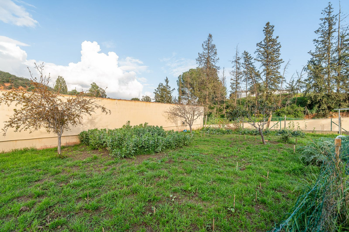 Detached Villa bilde 47
