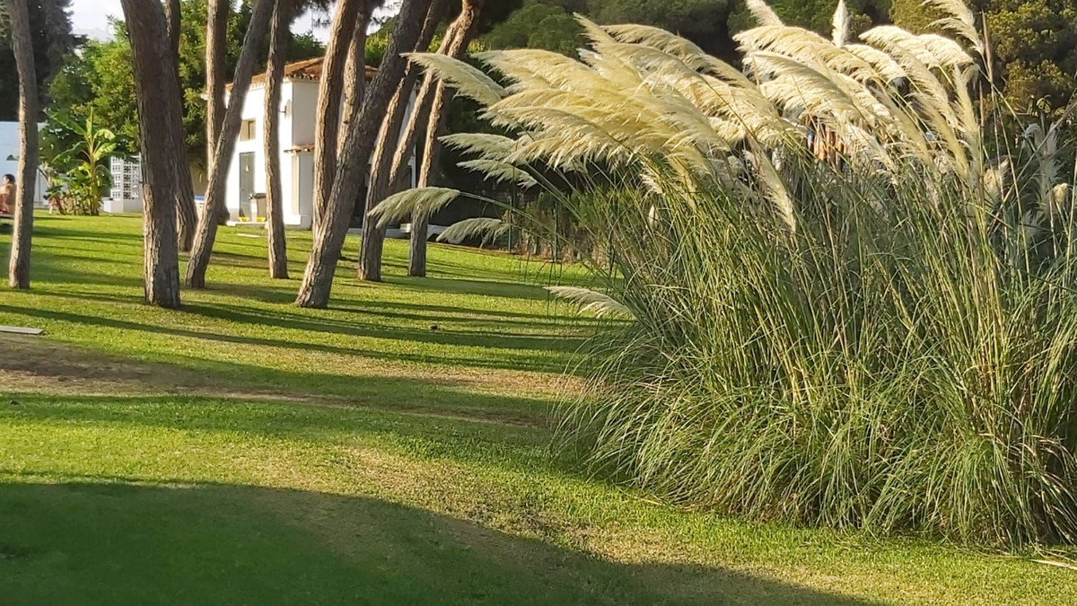 Middle Floor Apartment bilde 9