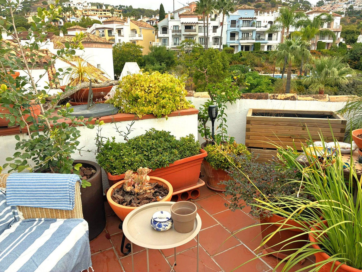 Penthouse bilde 109