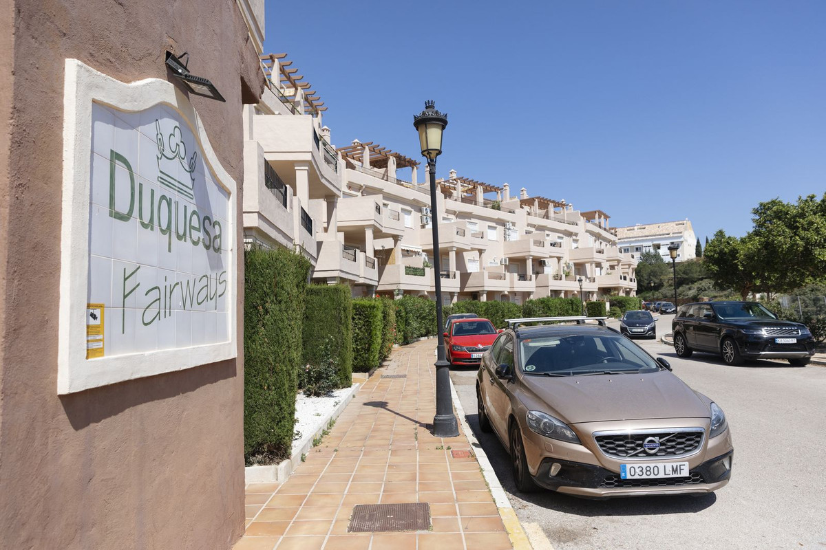 Penthouse bilde 51