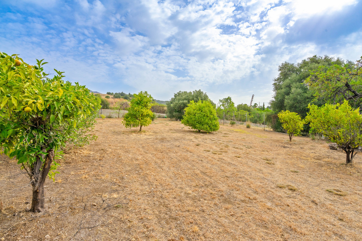 Detached Villa bilde 14