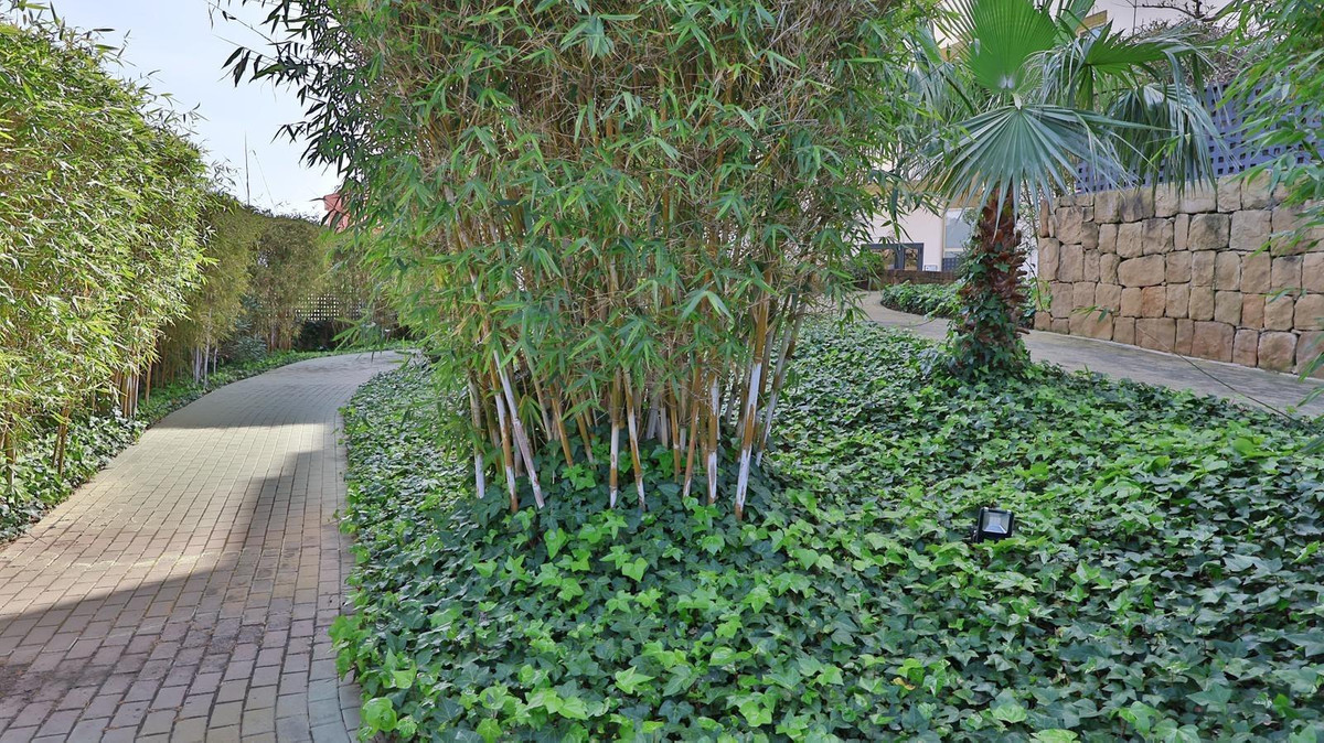 Ground Floor Apartment bilde 50