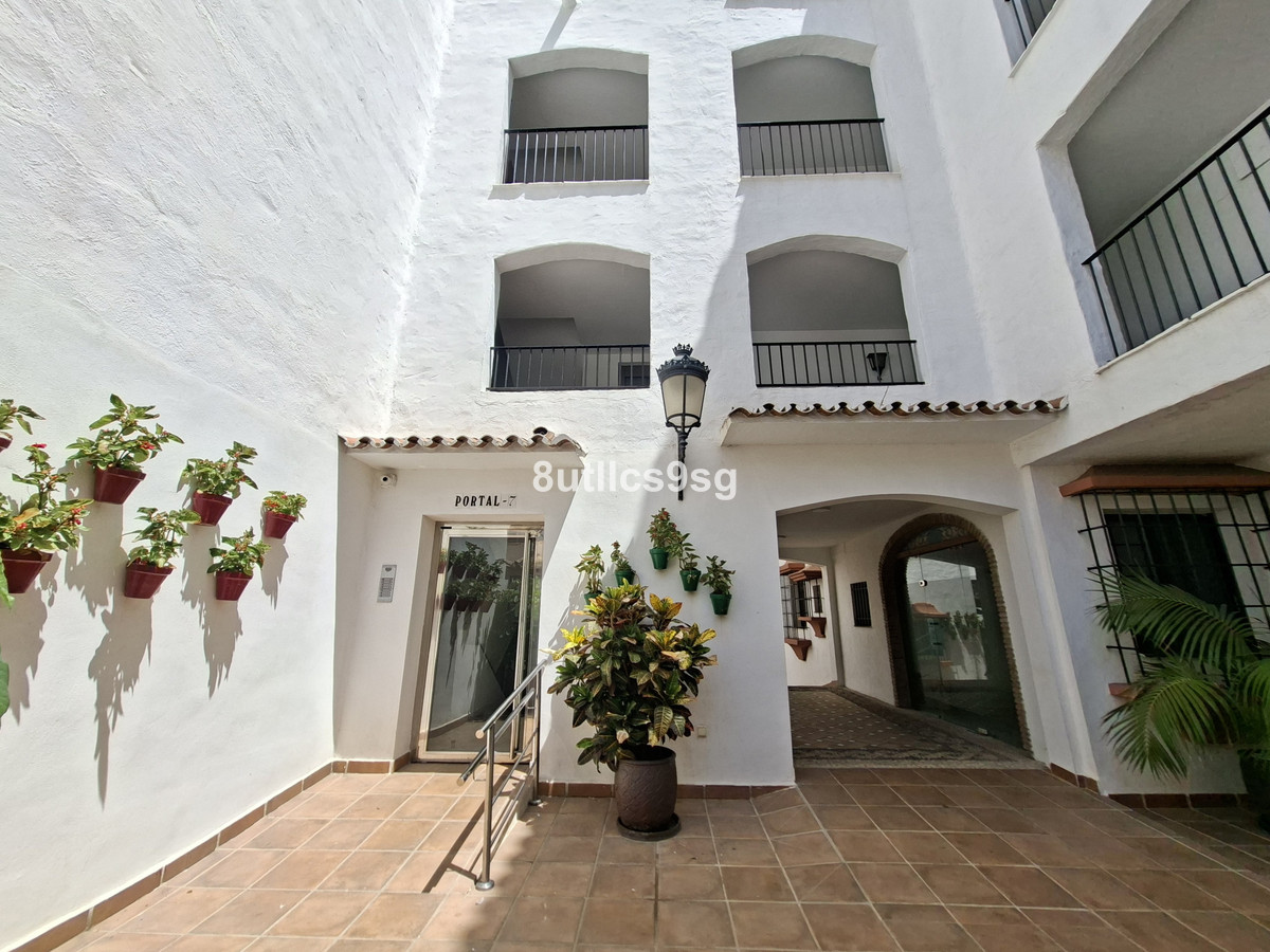 Penthouse bilde 34
