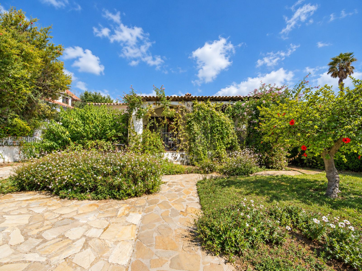 Detached Villa bilde 19