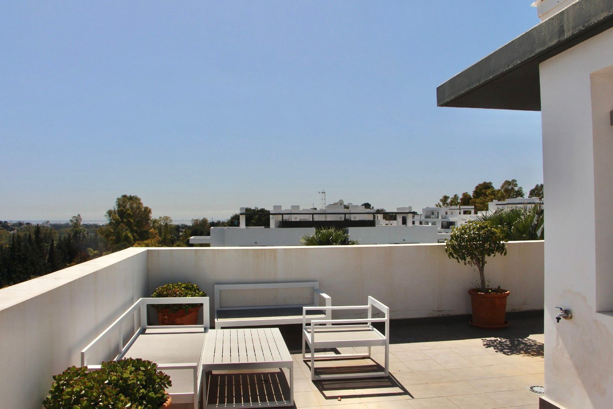 Penthouse bilde 15