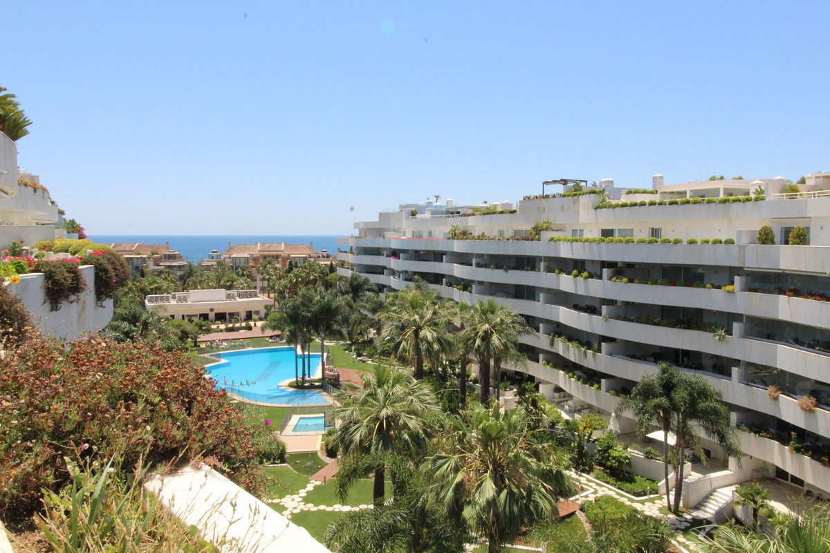 Penthouse bilde 31