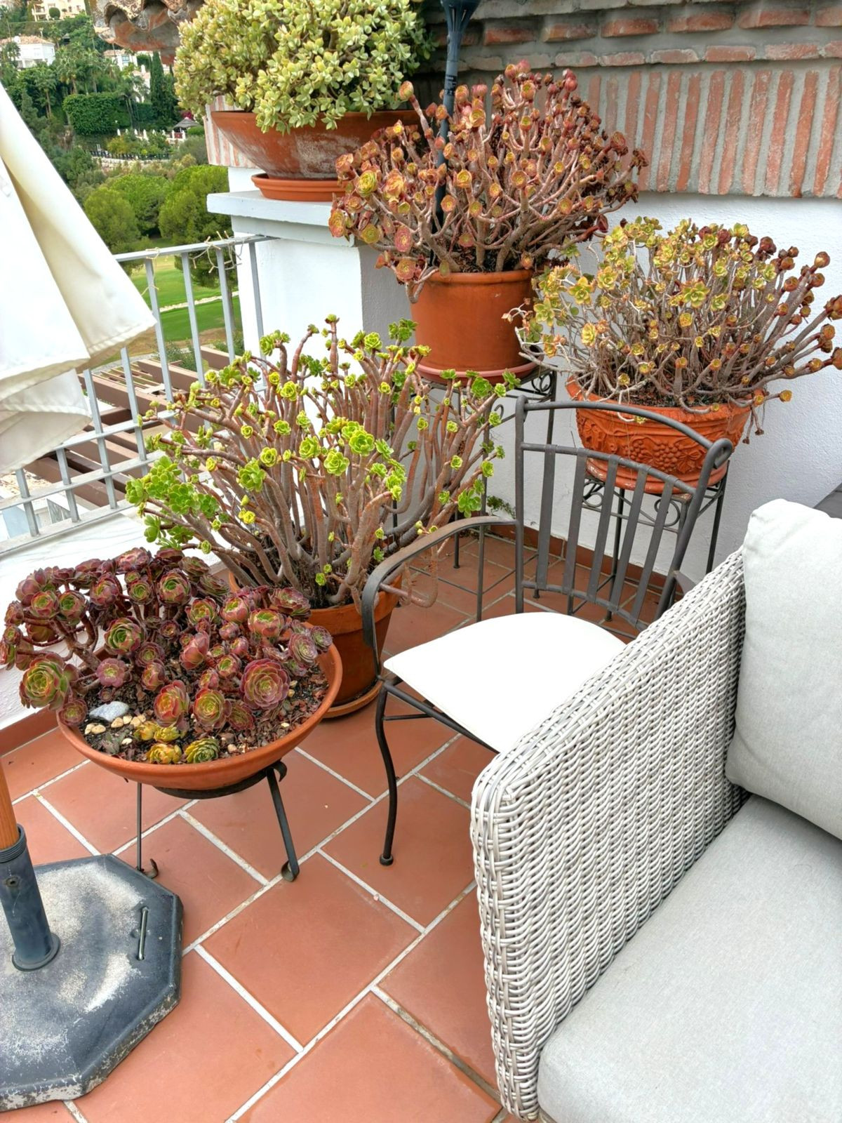 Penthouse bilde 85