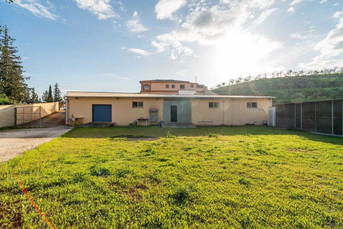 Detached Villa bilde 48