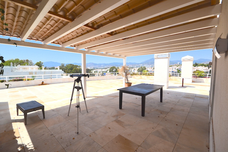 Penthouse bilde 6
