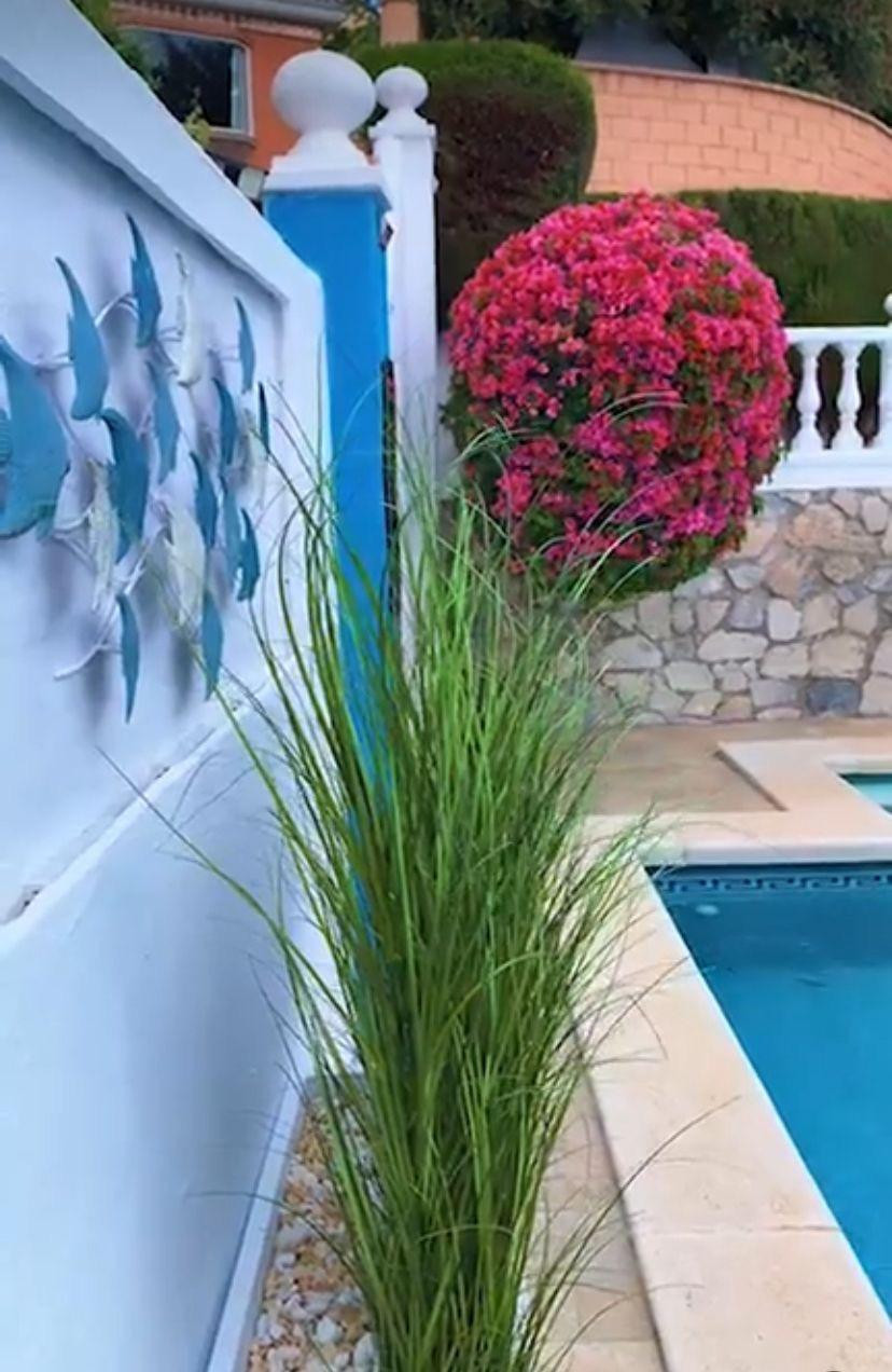 Detached Villa bilde 4
