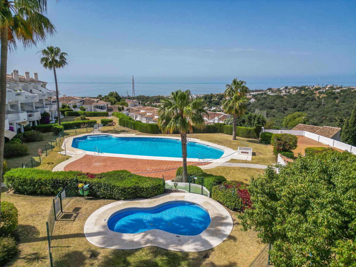 Penthouse bilde 29