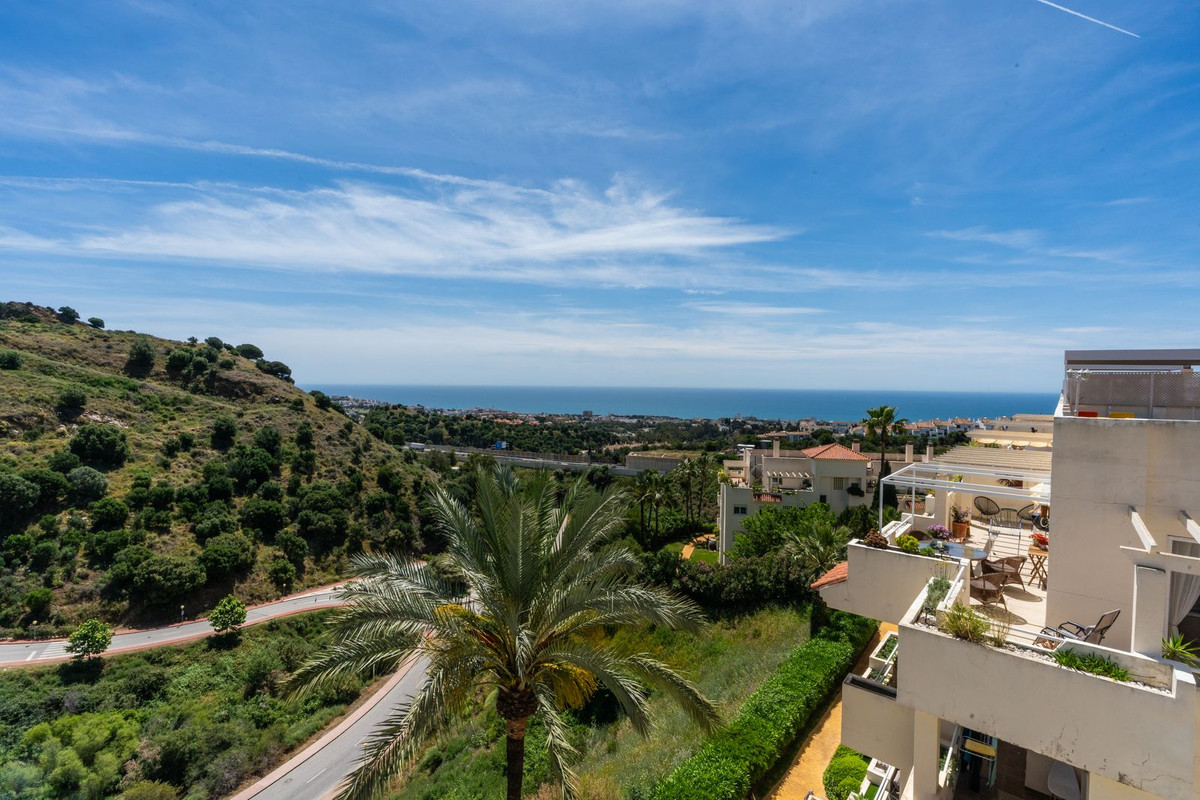 Penthouse bilde 21