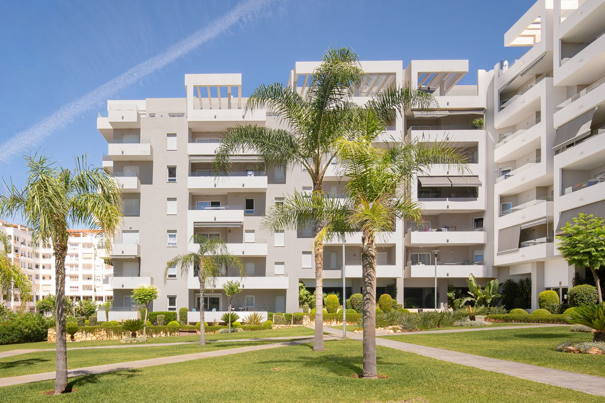 Penthouse bilde 32