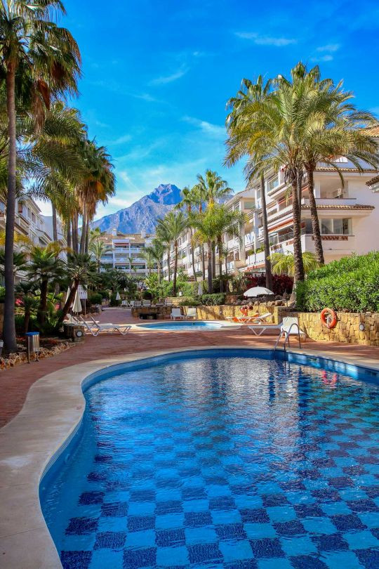 Middle Floor Apartment bilde 3