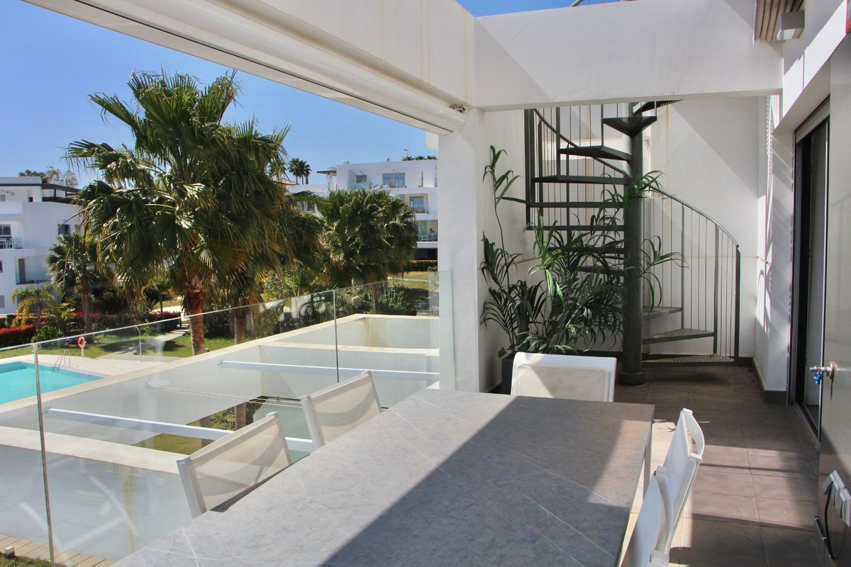 Penthouse bilde 18