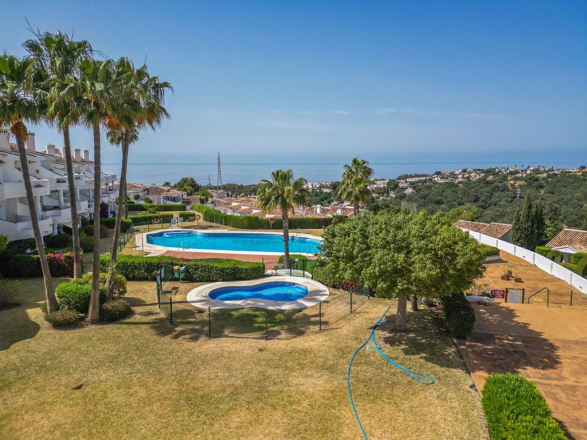 Penthouse bilde 28