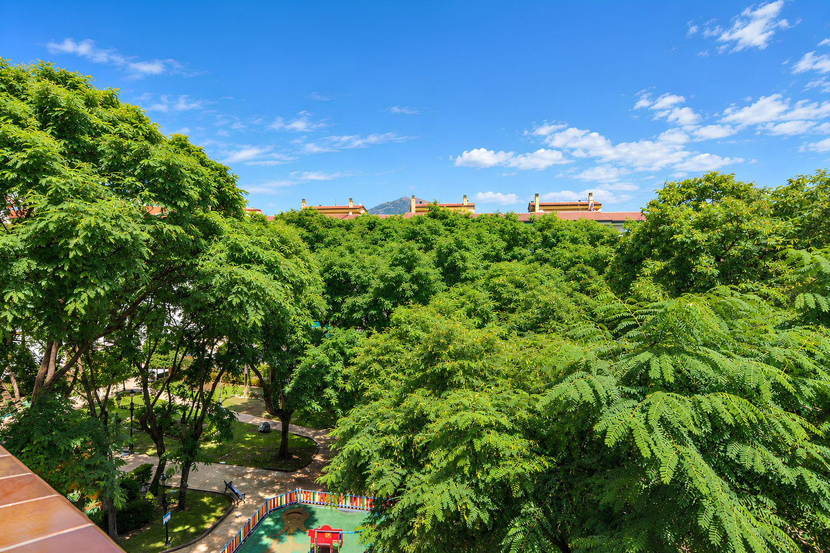 Middle Floor Apartment bilde 35