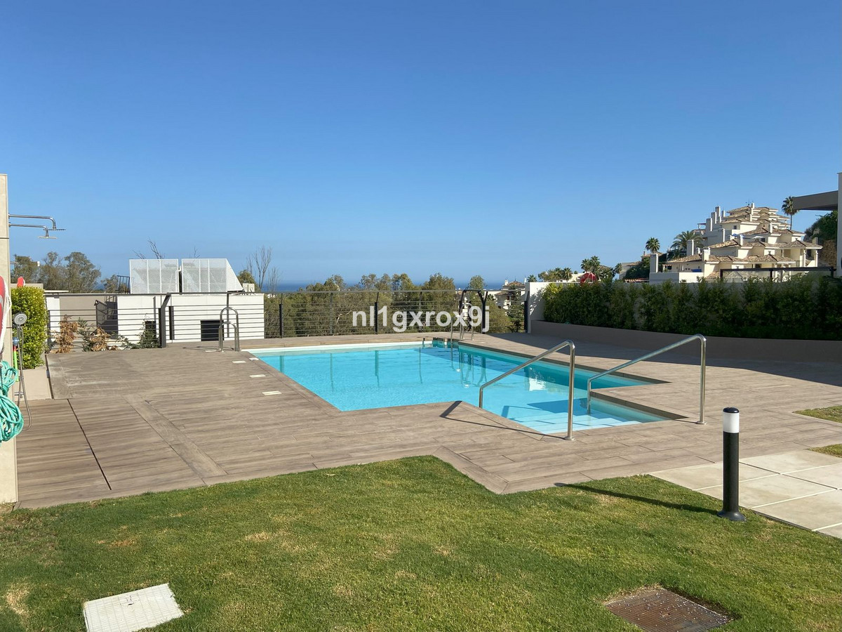 Penthouse bilde 48