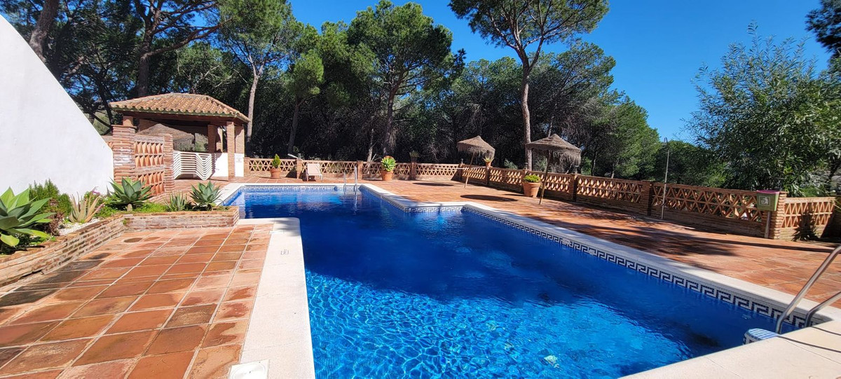 Middle Floor Apartment bilde 25