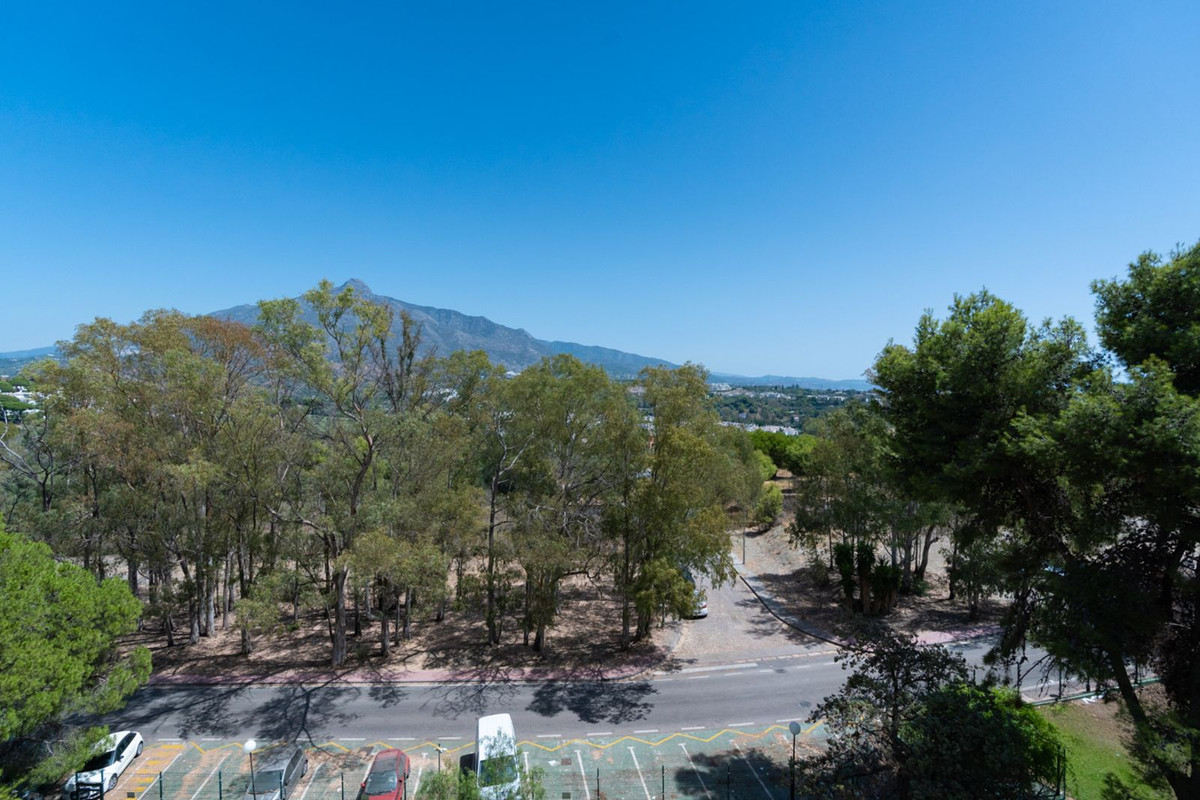 Middle Floor Apartment bilde 22