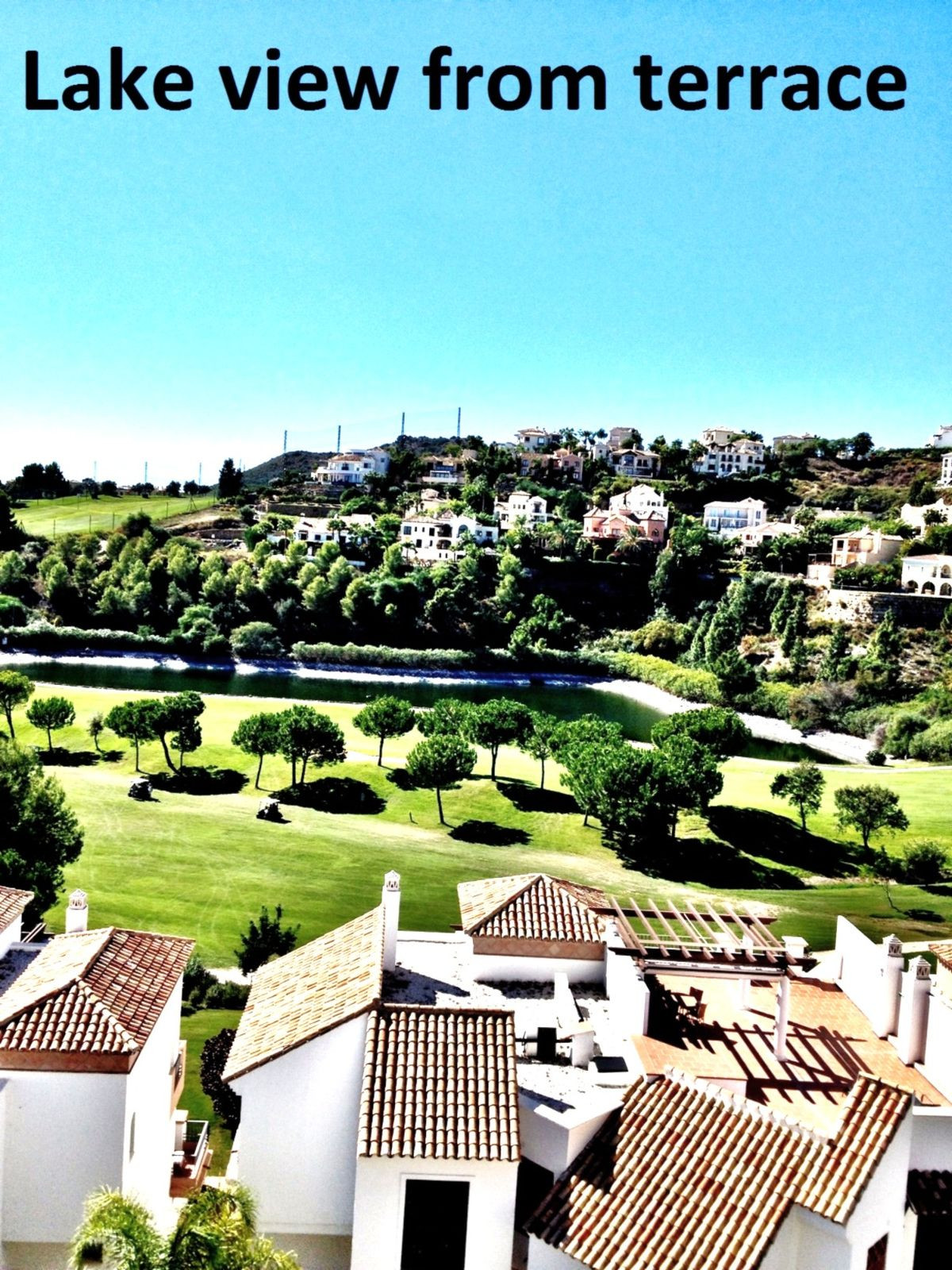 Penthouse bilde 6