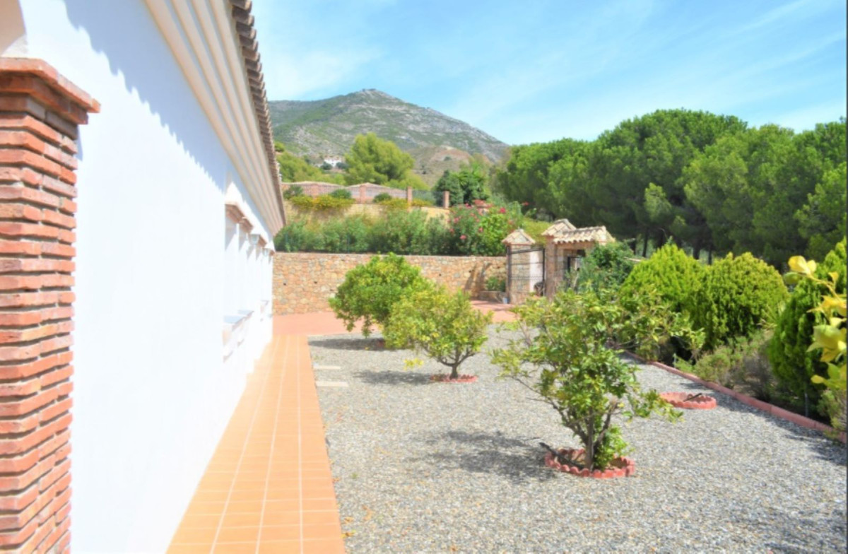 Detached Villa bilde 14