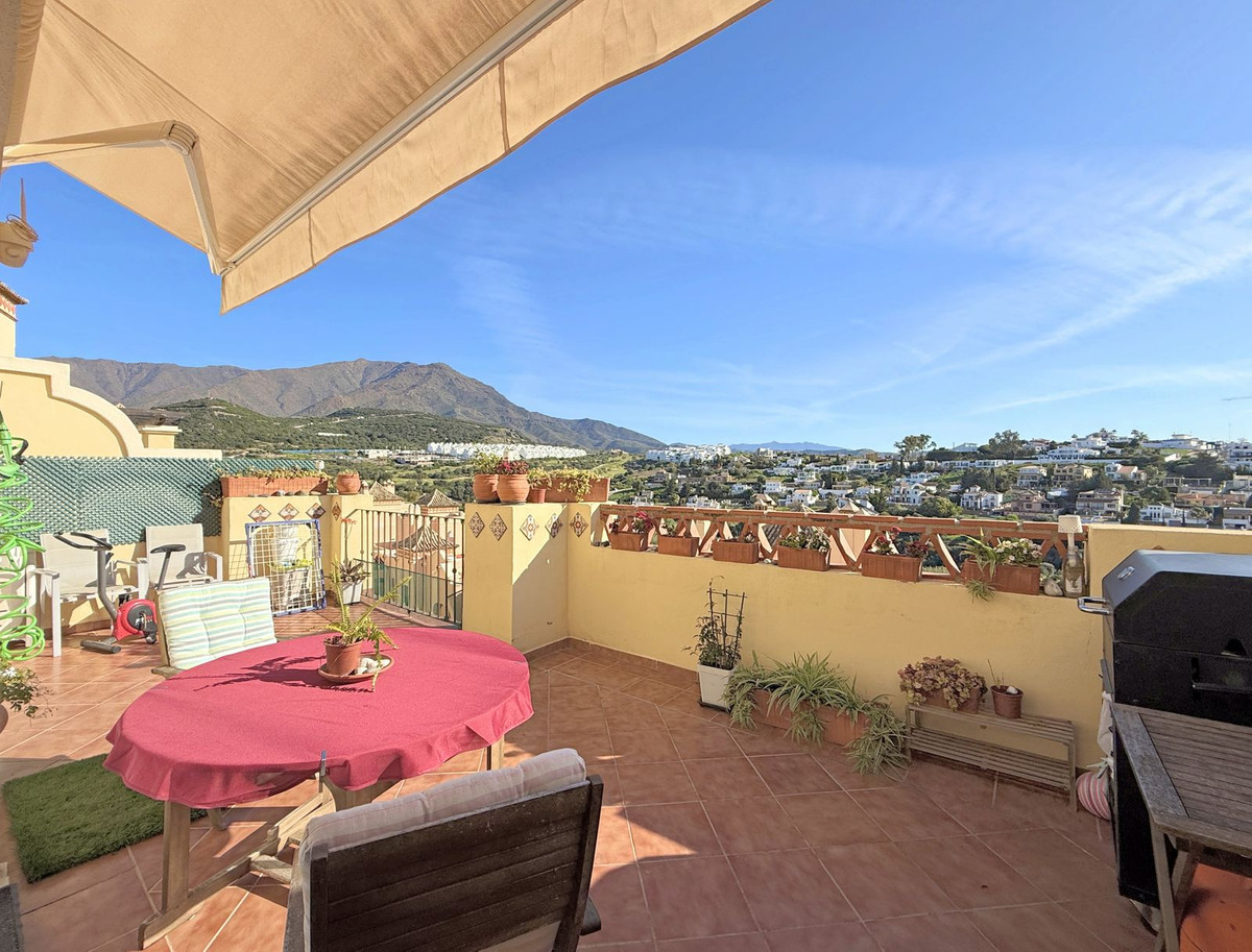 Penthouse bilde 15