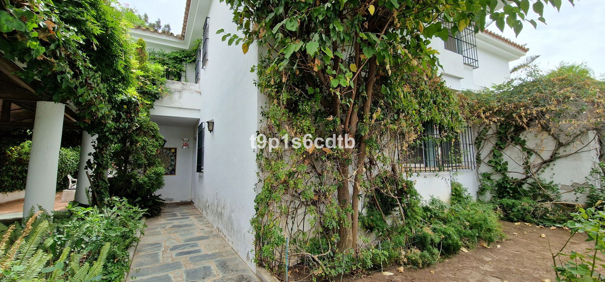 Detached Villa bilde 38