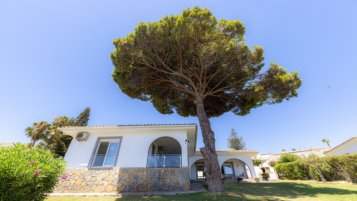 Detached Villa bilde 30
