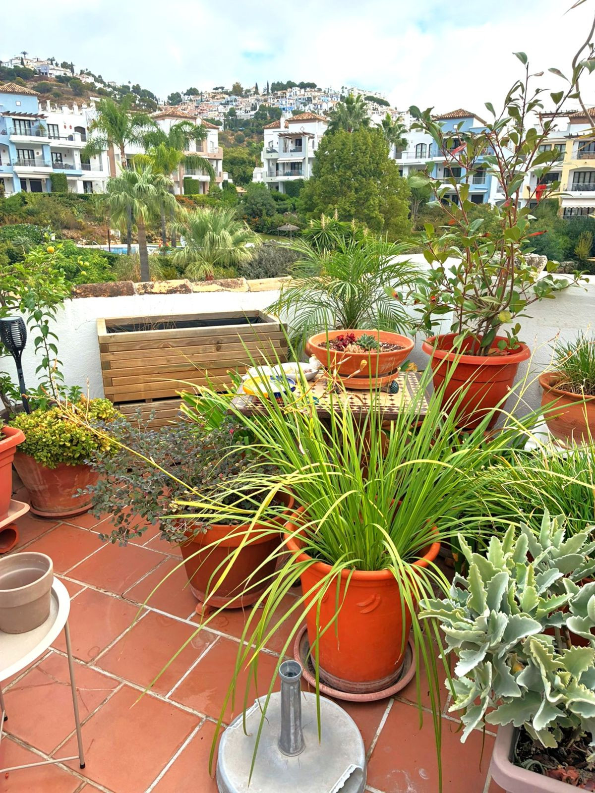 Penthouse bilde 106