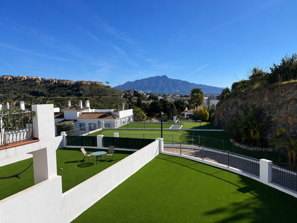 Penthouse bilde 19