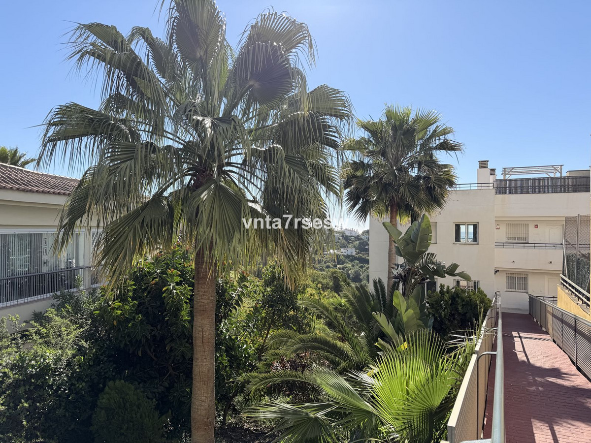 Middle Floor Apartment bilde 44