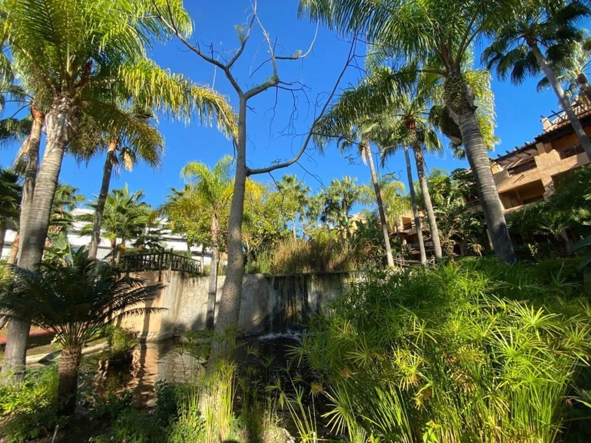 Ground Floor Apartment bilde 15