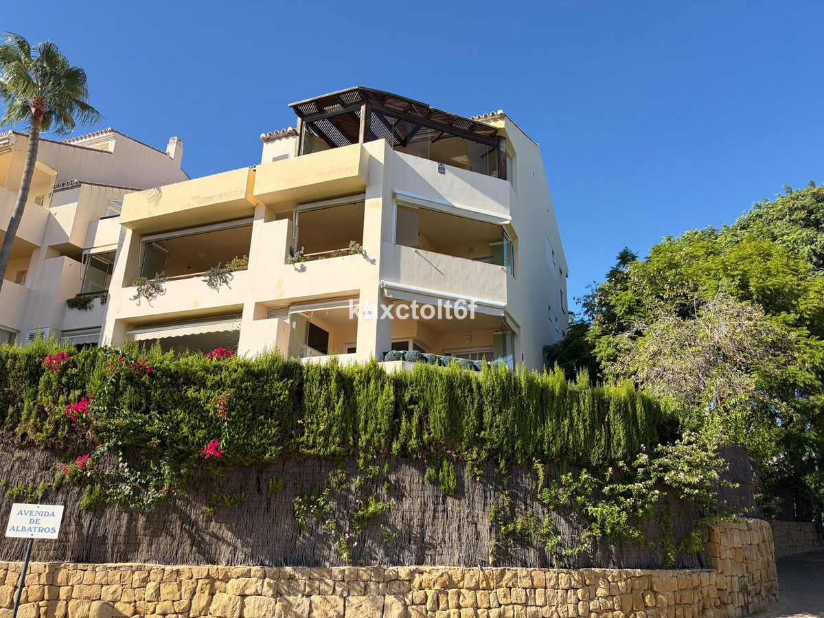 Middle Floor Apartment bilde 3