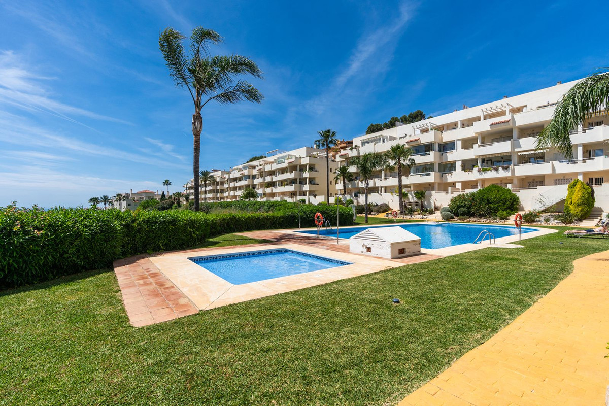Penthouse bilde 5