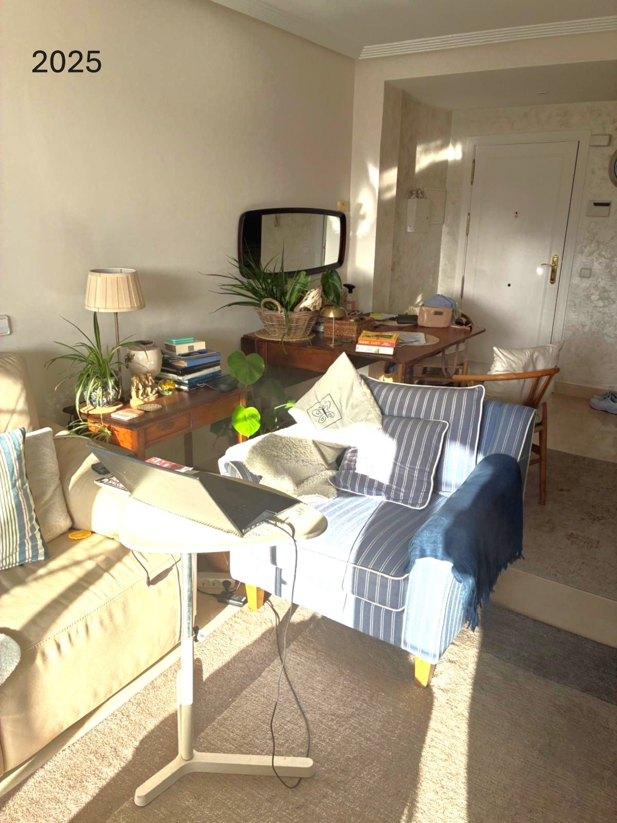 Penthouse bilde 14