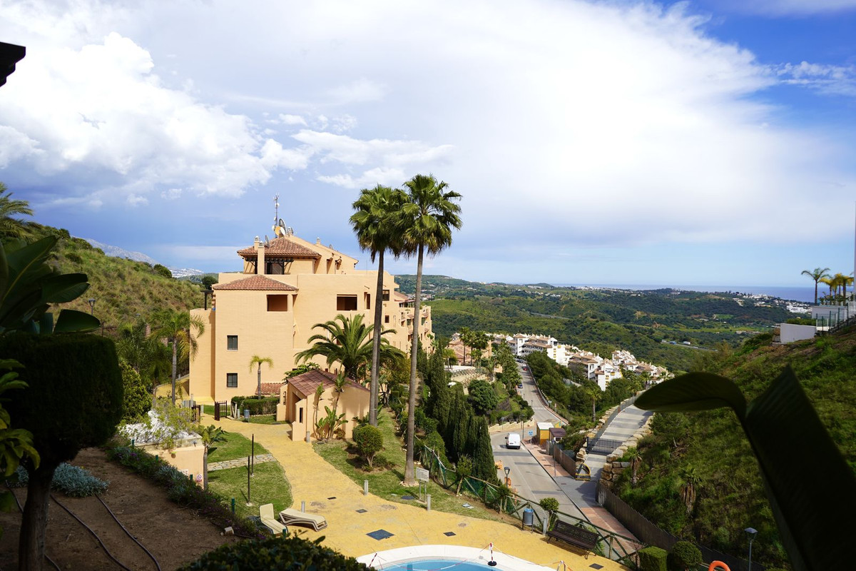 Middle Floor Apartment bilde 14