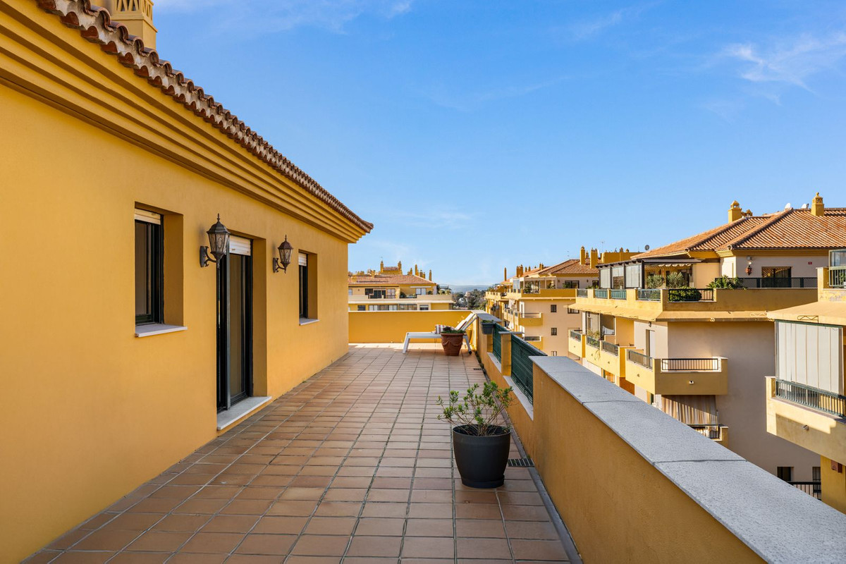Penthouse bilde 17