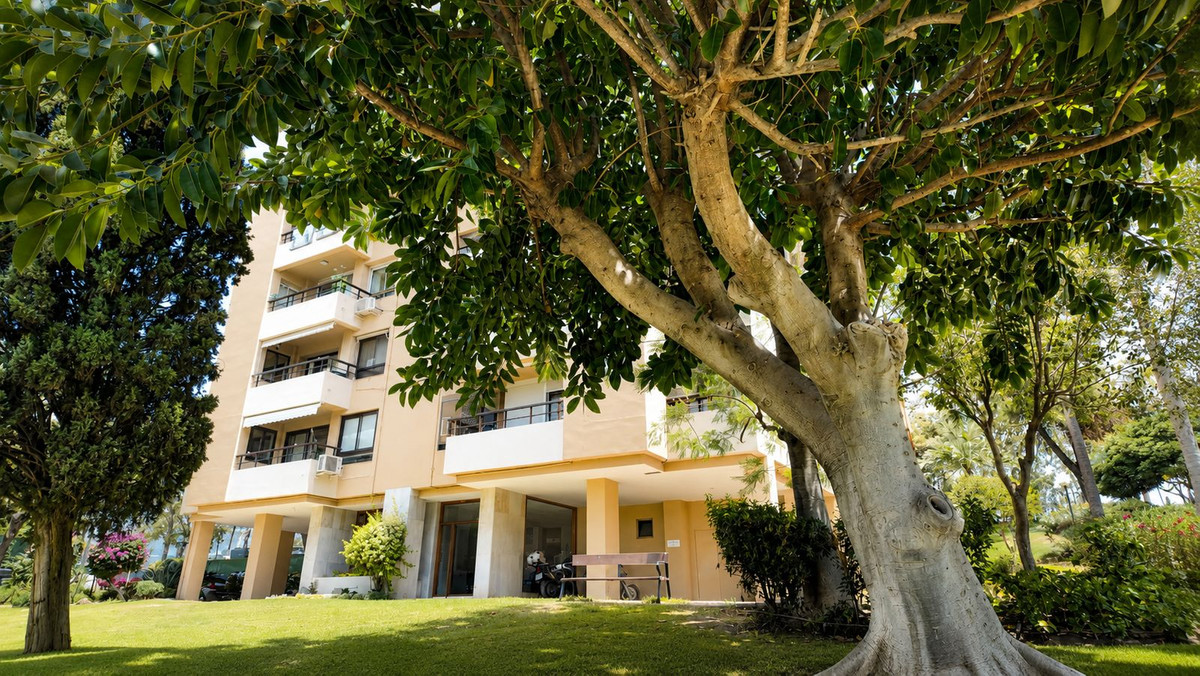 Middle Floor Apartment bilde 21