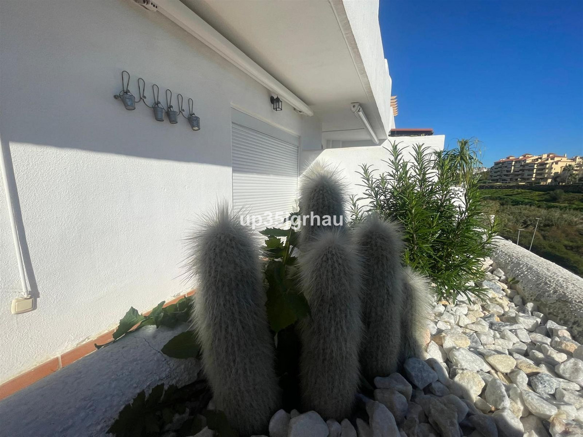 Penthouse bilde 18