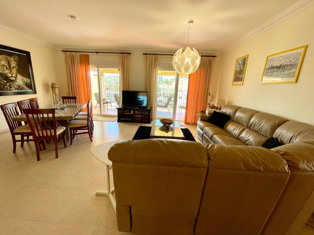 Penthouse bilde 25