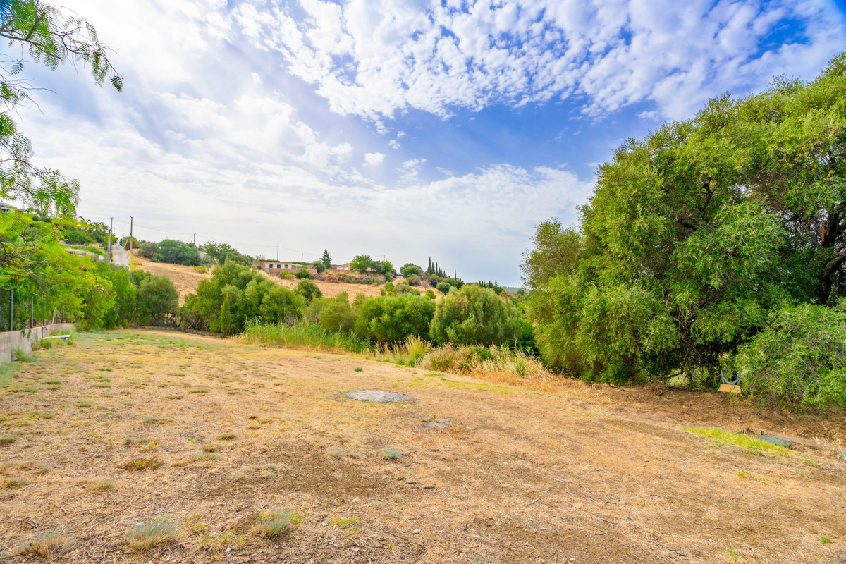 Detached Villa bilde 10