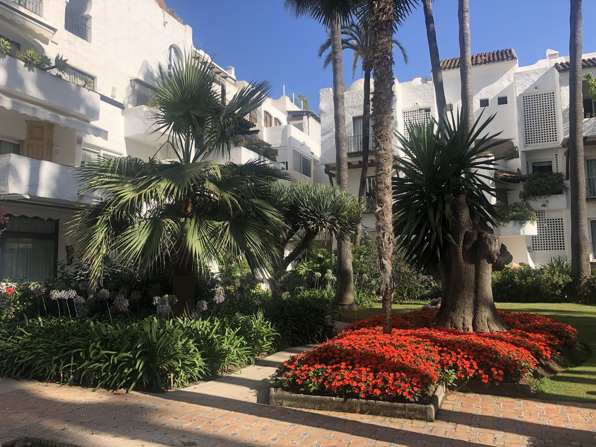 Ground Floor Apartment bilde 23