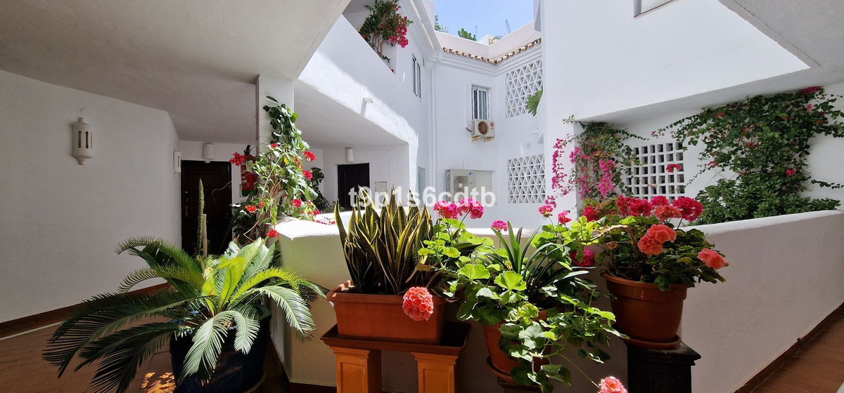 Middle Floor Apartment bilde 37