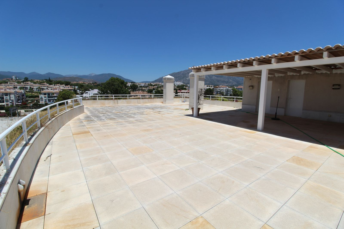 Penthouse bilde 19