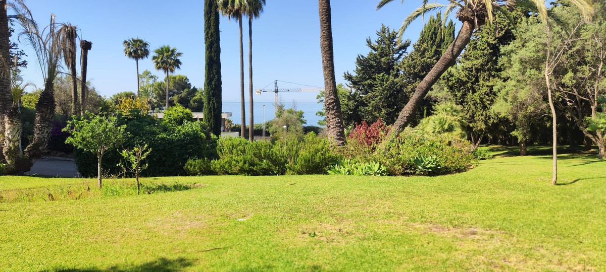 Ground Floor Apartment bilde 4