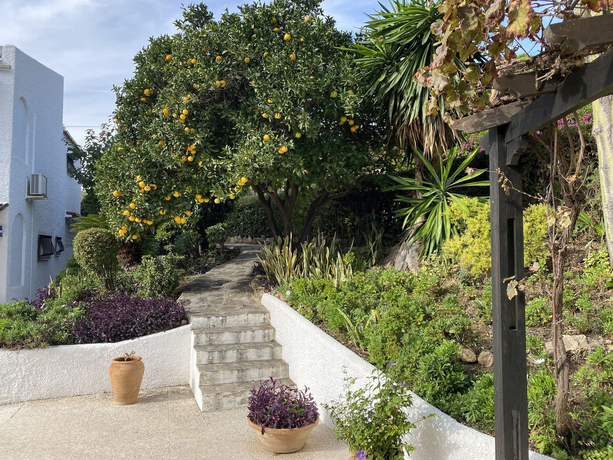 Detached Villa bilde 29