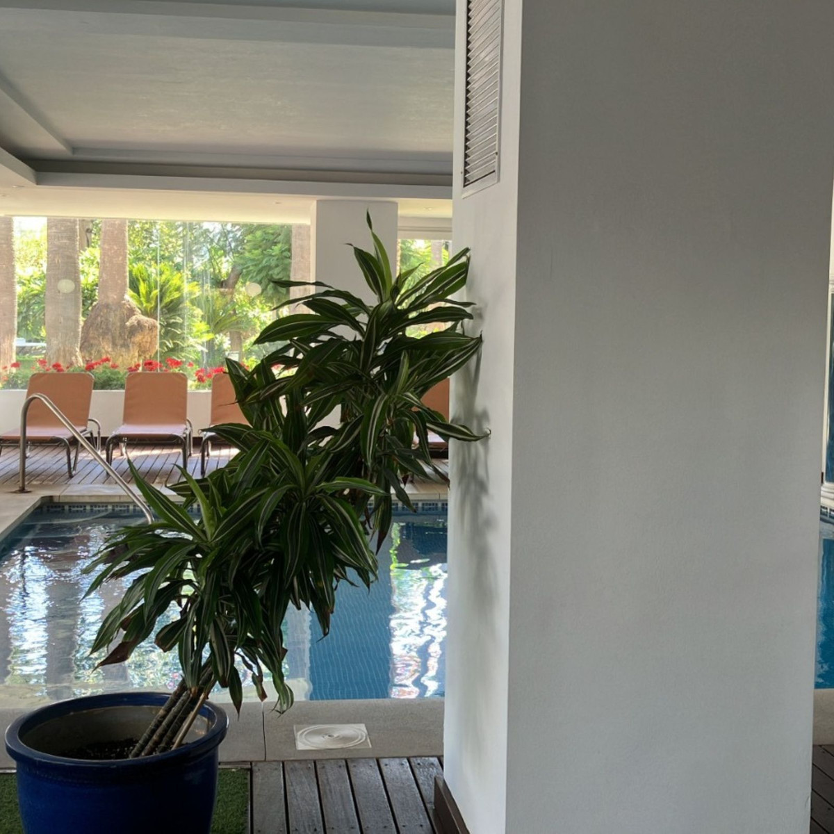 Ground Floor Apartment bilde 12