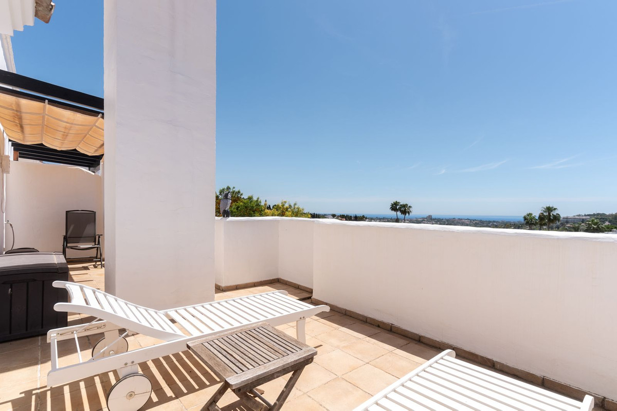 Penthouse bilde 18