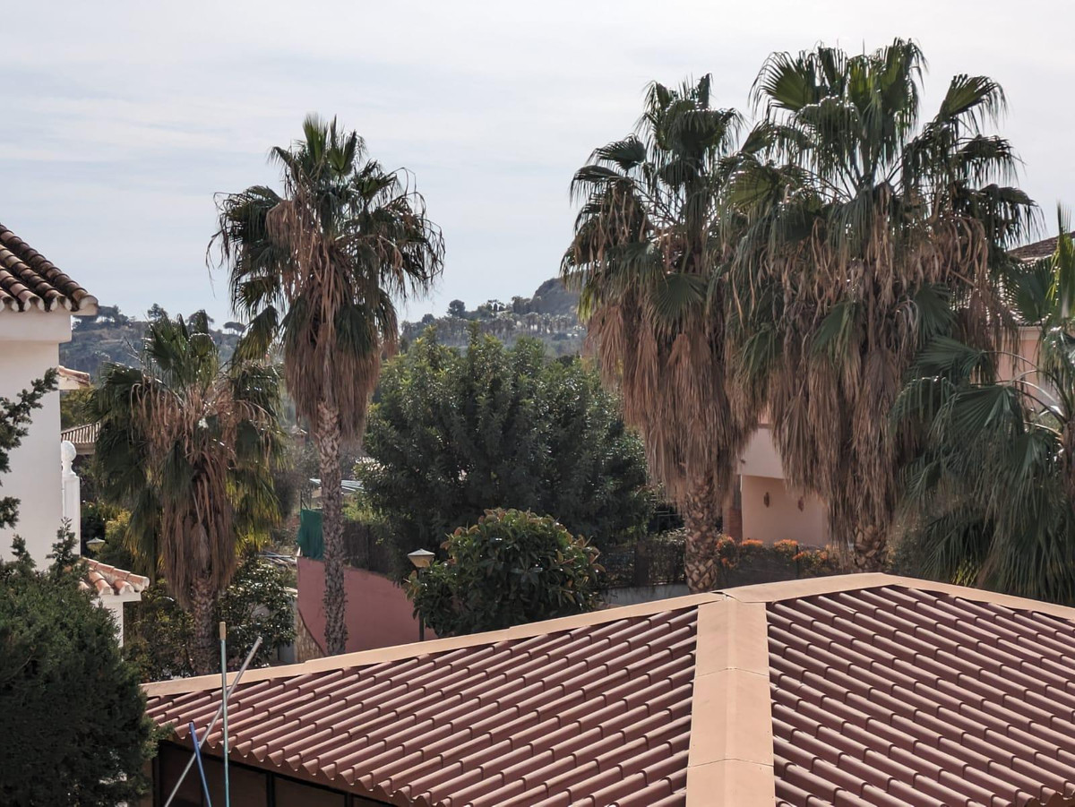 Detached Villa bilde 29